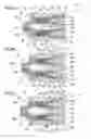 Fig. 06 - Mobile cam device for commanding needles of a needle bed of a knitting machine