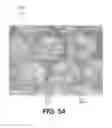 Fig. 06 - Absorbent sheet of cellulosic fibers having an upper side and a lower side with connecting regions forming a network interconnecting hollow domed regions