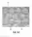 Fig. 08 - Absorbent sheet of cellulosic fibers having an upper side and a lower side with connecting regions forming a network interconnecting hollow domed regions