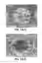Fig. 12 - Absorbent sheet of cellulosic fibers having an upper side and a lower side with connecting regions forming a network interconnecting hollow domed regions