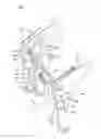 Fig. 10 - Working machine