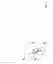 Fig. 02 - Falling Freight Restraint System