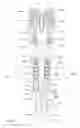 Fig. 02 - Dual activity off-shore drilling rig