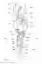 Fig. 10 - Dual activity off-shore drilling rig