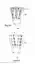 Fig. 14 - Wellbore drilling system