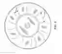 Fig. 06 - Enhanced charge air cooler