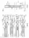 Fig. 09 - High-efficiency linear combustion engine