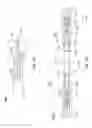 Fig. 13 - High-efficiency linear combustion engine