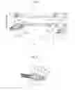 Fig. 06 - Throttle operating device