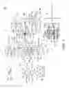 Fig. 02 - Exhaust control apparatus for engine