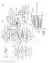 Fig. 02 - Control apparatus for engine