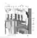 Fig. 10 - Scroll compressor