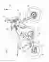 Fig. 02 - Multiplate clutch