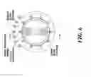 Fig. 07 - Compact parallel eccentric rotary actuator