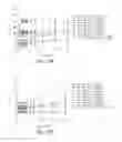 Fig. 14 - Rapid production of droplets