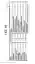 Fig. 23 - Modular flame amplifier system with remote sensing