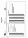 Fig. 03 - Mesostructure Based Scatterers in Helmet Supension Pads