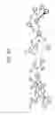 Fig. 30 - Analysis method and analyzing device