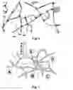 Fig. 05 - Navigation devices