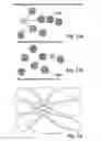 Fig. 13 - Navigation devices