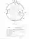 Fig. 05 - Strain-gauge physical quantity measuring device with an electronic component provided on a flat surface of a cylindrical portion radially distanced from a diaphragm