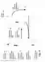 Fig. 05 - ANALYZING AND CORRELATING SPECTRA, IDENTIFYING SAMPLES AND THEIR INGREDIENTS, AND DISPLAYING RELATED PERSONALIZED INFORMATION