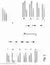 Fig. 06 - ANALYZING AND CORRELATING SPECTRA, IDENTIFYING SAMPLES AND THEIR INGREDIENTS, AND DISPLAYING RELATED PERSONALIZED INFORMATION