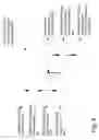 Fig. 07 - ANALYZING AND CORRELATING SPECTRA, IDENTIFYING SAMPLES AND THEIR INGREDIENTS, AND DISPLAYING RELATED PERSONALIZED INFORMATION
