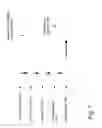 Fig. 08 - ANALYZING AND CORRELATING SPECTRA, IDENTIFYING SAMPLES AND THEIR INGREDIENTS, AND DISPLAYING RELATED PERSONALIZED INFORMATION