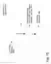 Fig. 16 - ANALYZING AND CORRELATING SPECTRA, IDENTIFYING SAMPLES AND THEIR INGREDIENTS, AND DISPLAYING RELATED PERSONALIZED INFORMATION