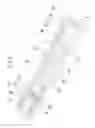 Fig. 09 - Method, sample carrier, and device for the qualitative and/or quantitative detection of particles in a fluid