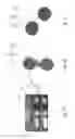 Fig. 08 - Inspection system and method for controlling the same