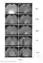Fig. 05 - Method for estimating detonation performance of materials