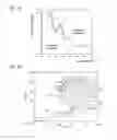 Fig. 06 - Blood analyzer and blood analyzing method