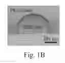 Fig. 03 - Engineering individually addressable cellular spheroids using aqueous two-phase systems