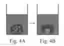 Fig. 06 - Engineering individually addressable cellular spheroids using aqueous two-phase systems