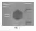 Fig. 07 - Engineering individually addressable cellular spheroids using aqueous two-phase systems