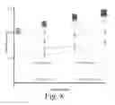 Fig. 11 - Engineering individually addressable cellular spheroids using aqueous two-phase systems