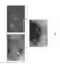 Fig. 08 - Viscosity-sensitive dyes and method