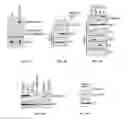 Fig. 10 - METHODS FOR THE TREATMENT OF DISORDERS RELATED TO PHOSPHORYLATION OF HISTONES