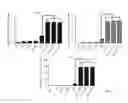 Fig. 08 - Methods for diagnosis and treatment of amyotrophic lateral sclerosis based on an increased level of interaction between TDP-43 polypeptide and NF-KB P65 polypeptide