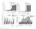 Fig. 09 - Methods for diagnosis and treatment of amyotrophic lateral sclerosis based on an increased level of interaction between TDP-43 polypeptide and NF-KB P65 polypeptide