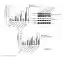 Fig. 17 - Methods for diagnosis and treatment of amyotrophic lateral sclerosis based on an increased level of interaction between TDP-43 polypeptide and NF-KB P65 polypeptide