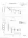 Fig. 35 - Methods for diagnosis and treatment of amyotrophic lateral sclerosis based on an increased level of interaction between TDP-43 polypeptide and NF-KB P65 polypeptide