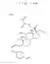 Fig. 12 - Molecular Template and Manufacturing Method Therefor