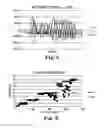 Fig. 10 - SYSTEMS AND METHODS FOR ARC FLASH HAZARD ASSESSMENT