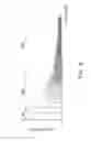Fig. 09 - Apparatus, system and method for space status detection based on acoustic signal