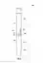 Fig. 07 - Directional antennas for electromagnetic mapping in a borehole