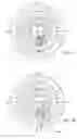 Fig. 07 - Micro-optical element having surface with curvature about a direction extending in a plane parallel to major surface of light guide, and light guide and lighting assembly including same