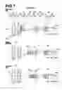 Fig. 08 - ZOOM LENS AND IMAGING APPARATUS
